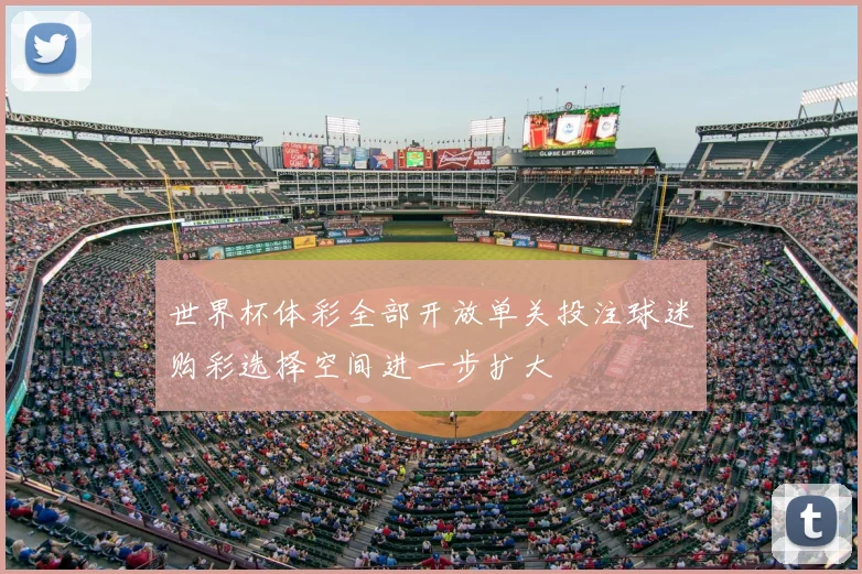 世界杯体彩全部开放单关投注球迷购彩选择空间进一步扩大