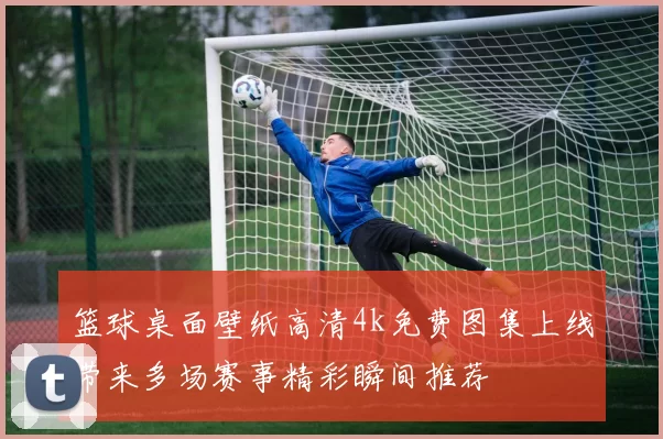 篮球桌面壁纸高清4k免费图集上线带来多场赛事精彩瞬间推荐